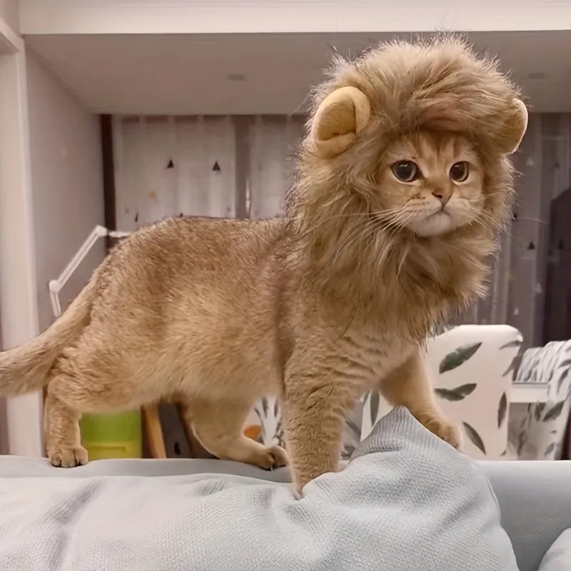 Hilarious 1pc Lion Cat Hat Perfect Pet Cosplay