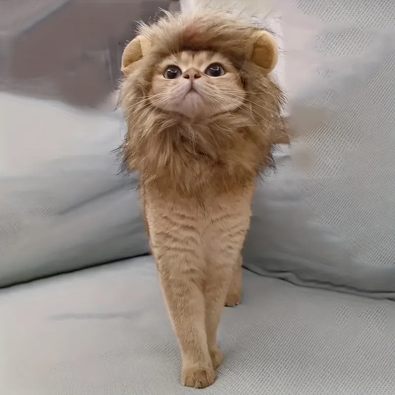 Hilarious 1pc Lion Cat Hat Perfect Pet Cosplay