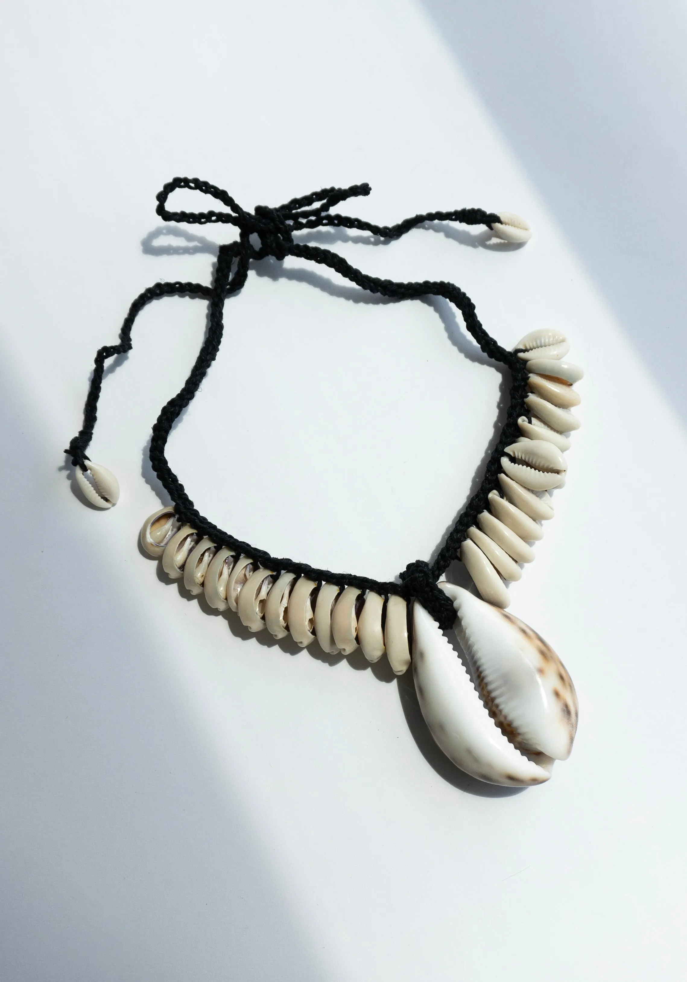 Puka Shell Necklace on Black Hemp Cord